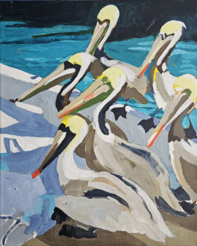 maybe Pelicans Boating