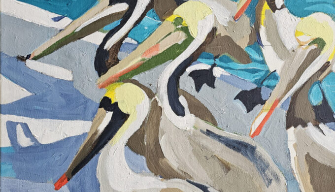 maybe Pelicans Boating